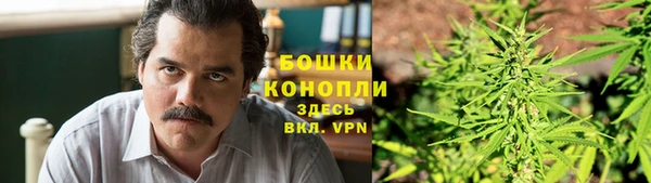прущие крисы Елизово