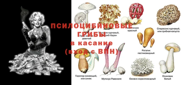 прущие крисы Елизово