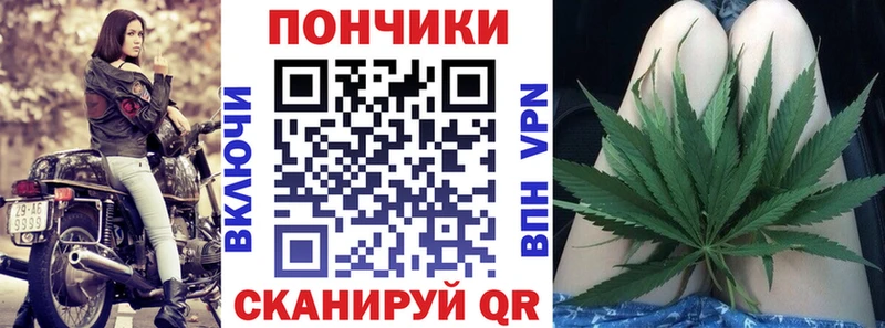 Купить закладки  Петровск-Забайкальский  Конопля семена 